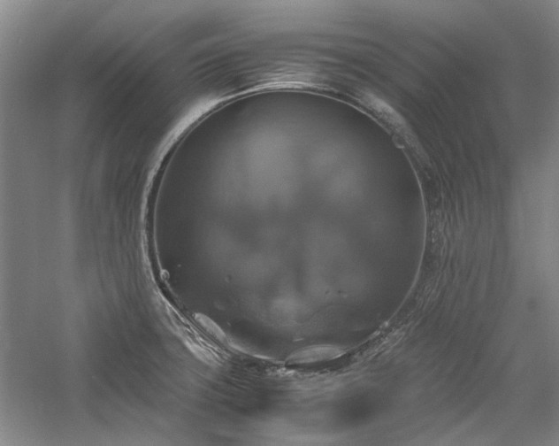 X0000059781427200510211039