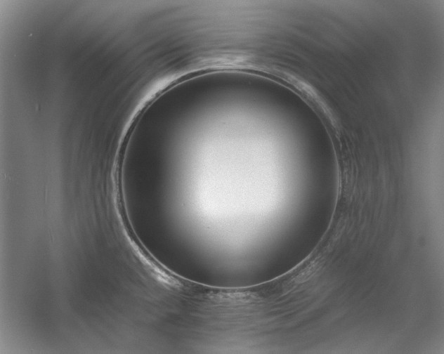 X0000059781432200510211039