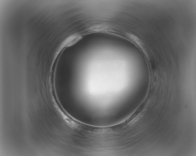 X0000059781434200510211039