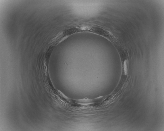 X0000059781443200510211038