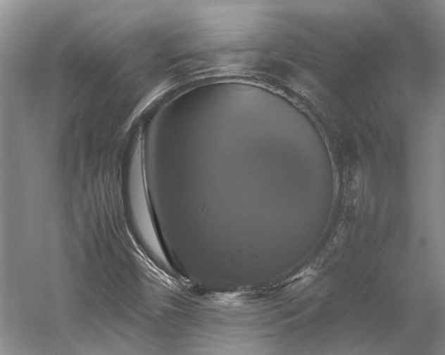 X0000059781450200510211038