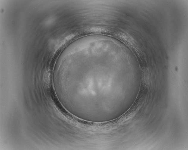 X0000059780016200510241309