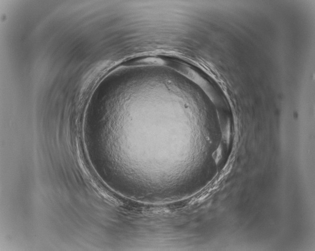 X0000059780097200510241308