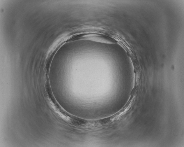 X0000059780101200510241308
