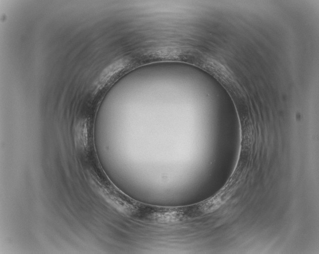 X0000059780120200510241308