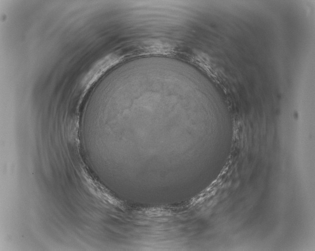 X0000059780146200510241306