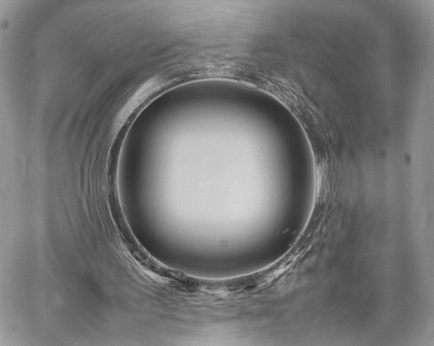 X0000059780195200510241306