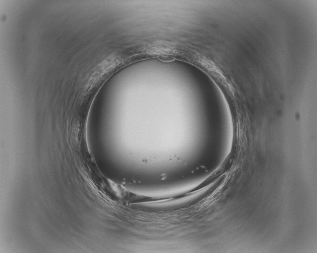 X0000059780201200510241306