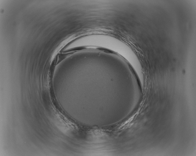 X0000059780244200510241305