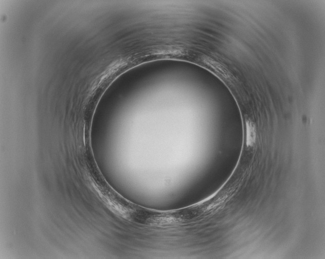 X0000059780253200510241305