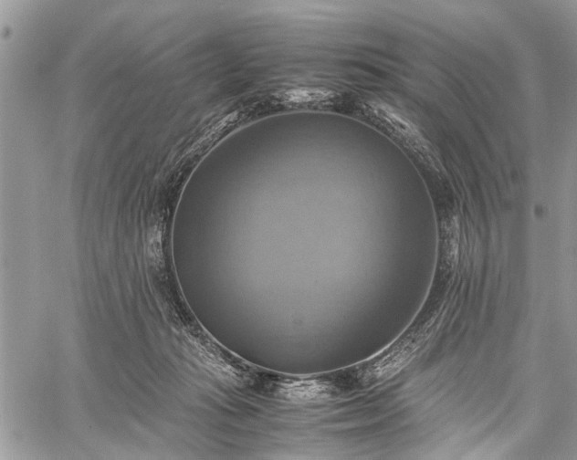 X0000059780269200510241305