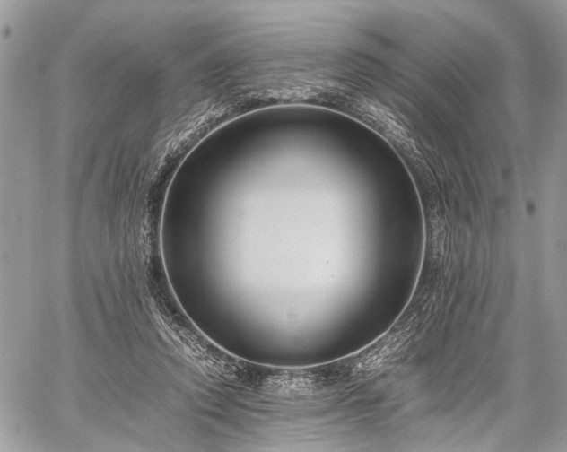 X0000059780354200510241304