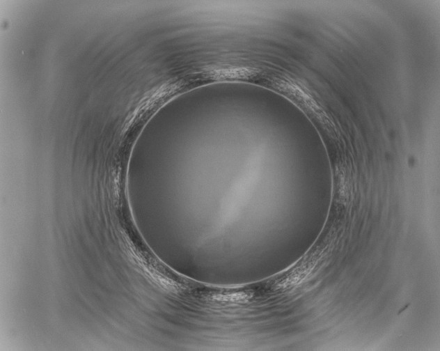 X0000059780357200510241304