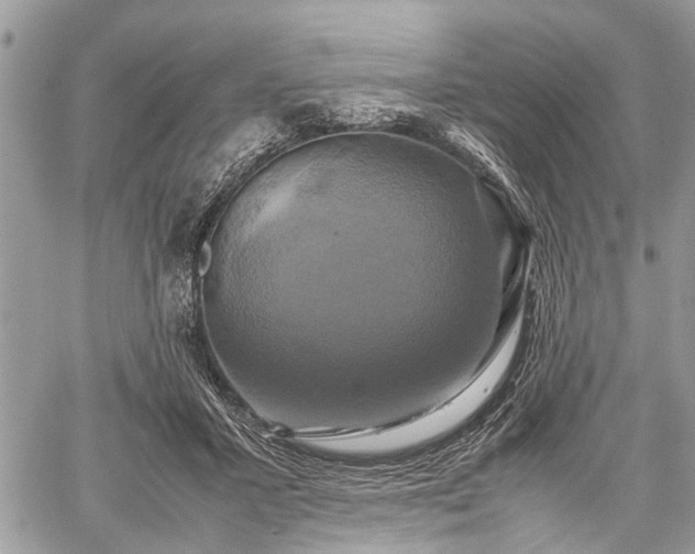 X0000059780407200510241303