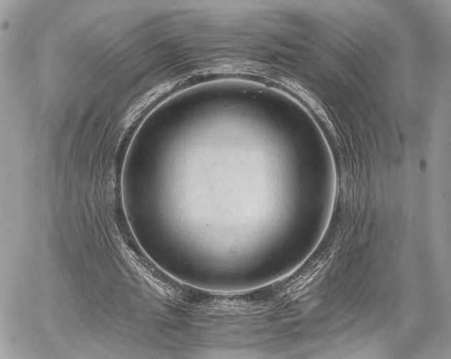 X0000059780437200510241302