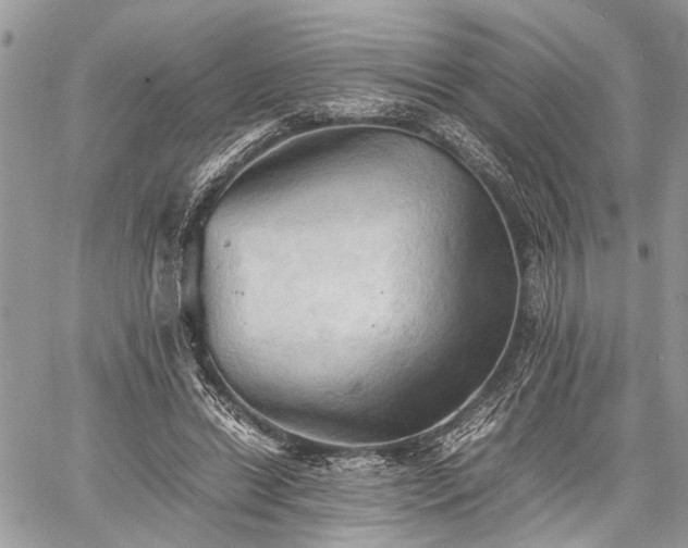 X0000059780446200510241302