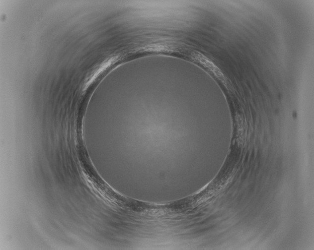 X0000059780482200510241302