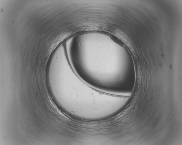 X0000059780485200510241302