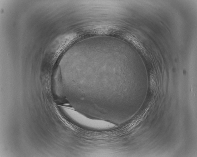 X0000059780493200510241301