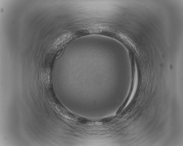 X0000059780501200510241301