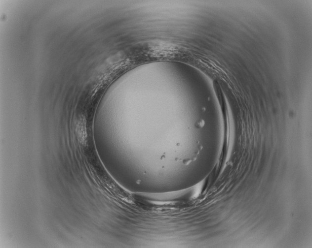 X0000059780508200510241301