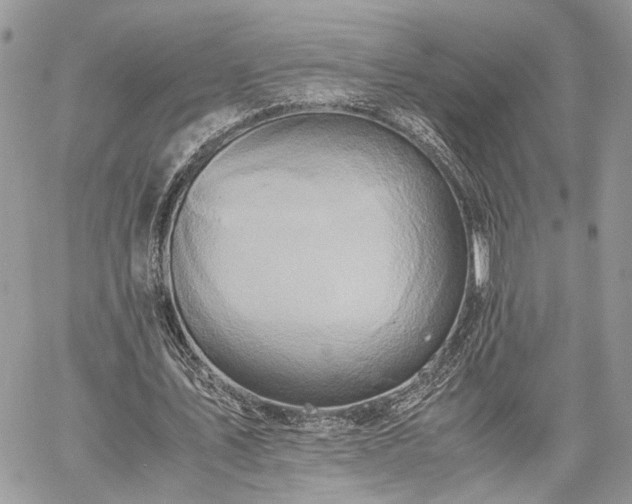 X0000059780579200510241300