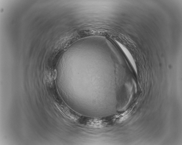 X0000059780607200510241300