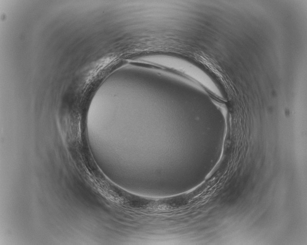 X0000059780685200510241258