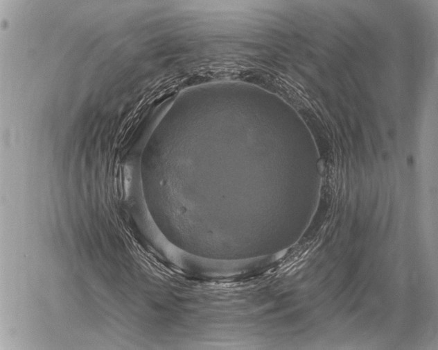 X0000059780818200510241255