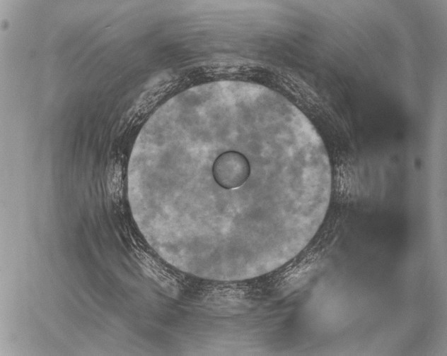 X0000059780820200510241255