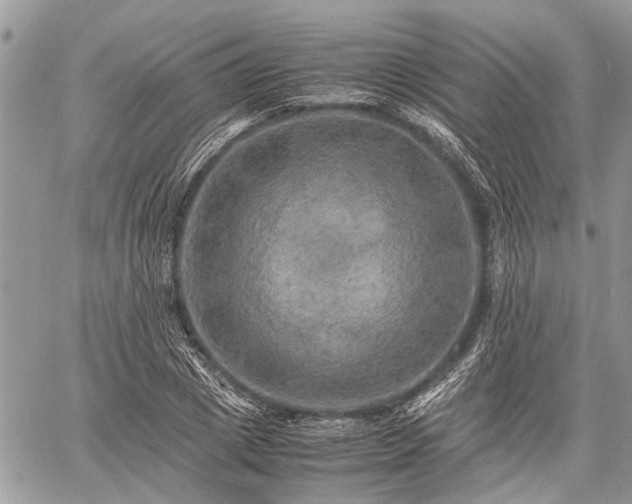 X0000059780833200510241256
