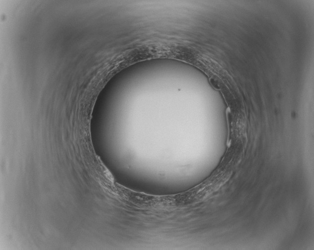 X0000059780865200510241255