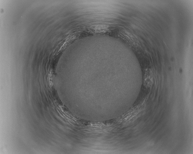 X0000059780866200510241255