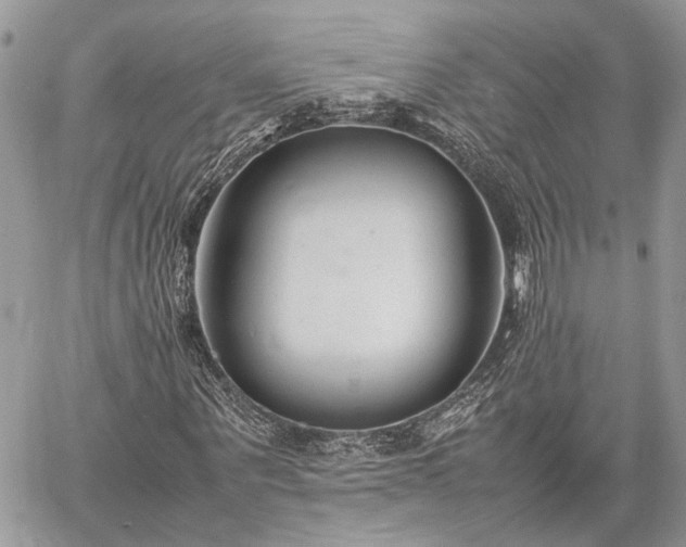 X0000059780867200510241255