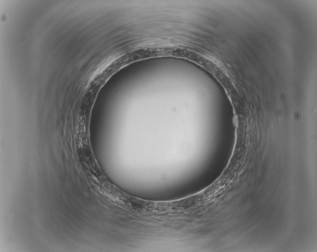 X0000059780871200510241255