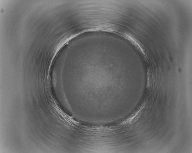 X0000059780876200510241255