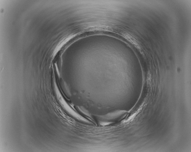 X0000059780877200510241255