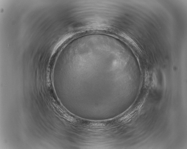 X0000059780878200510241255