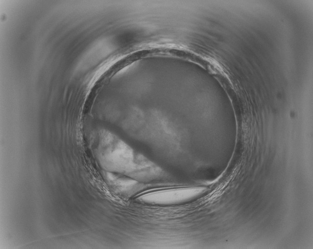 X0000059780879200510241255