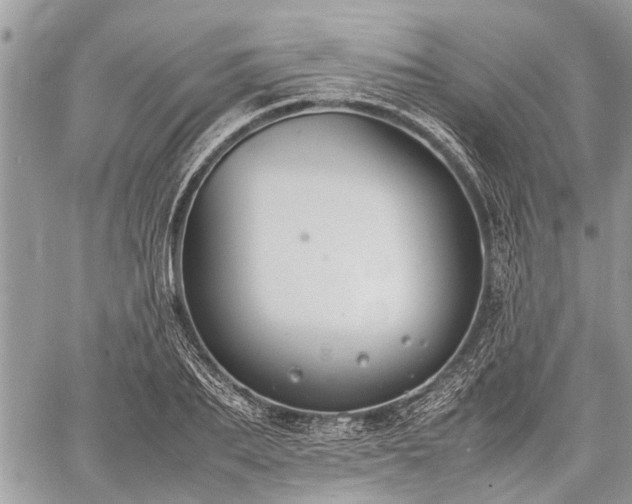 X0000059780887200510241255