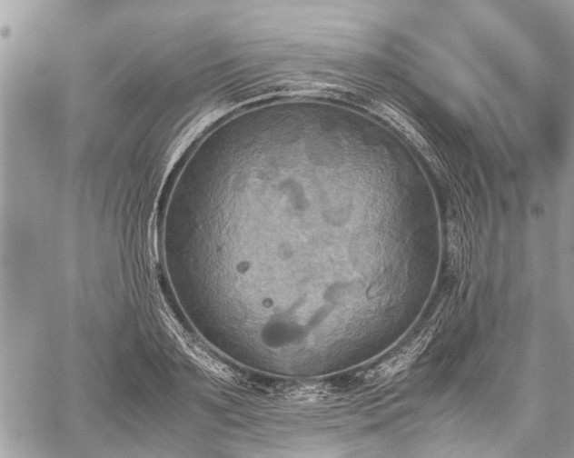 X0000059780891200510241255