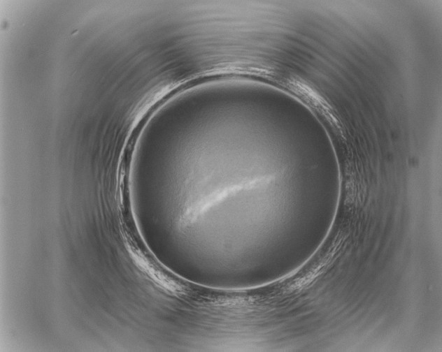 X0000059780892200510241255