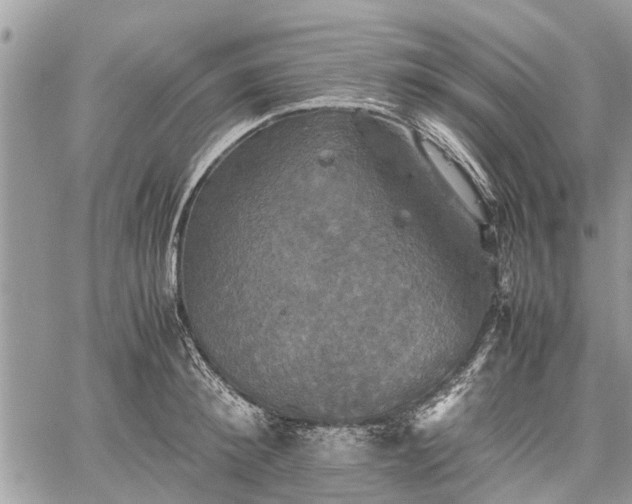 X0000059780900200510241255