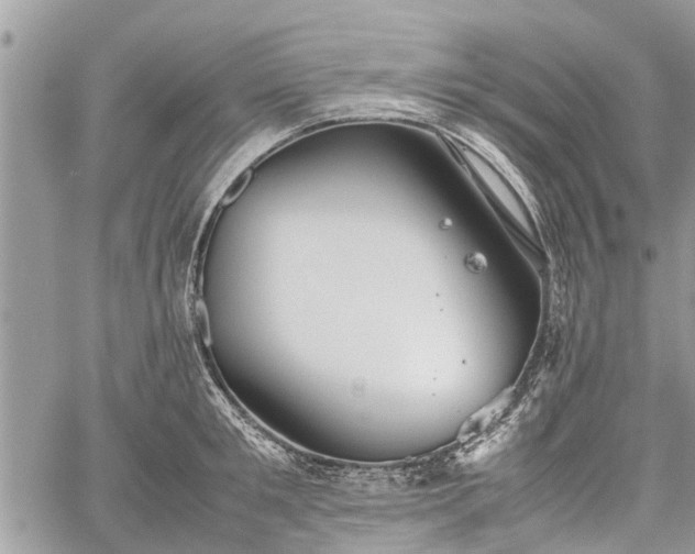 X0000059780901200510241255