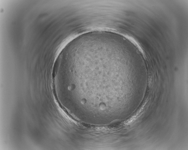 X0000059780903200510241255