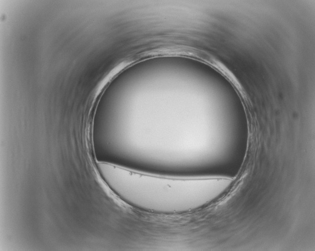 X0000059780909200510241255