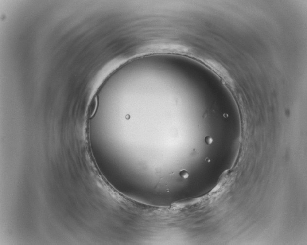 X0000059780912200510241255