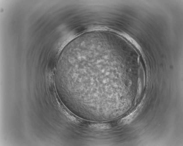 X0000059780953200510241255