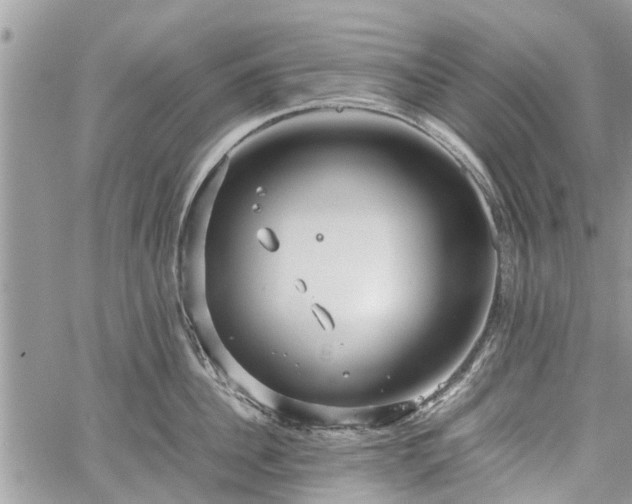 X0000059780956200510241255