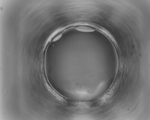 X0000059780958200510241255